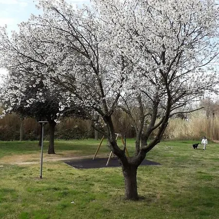 Casagabri * סניגליה